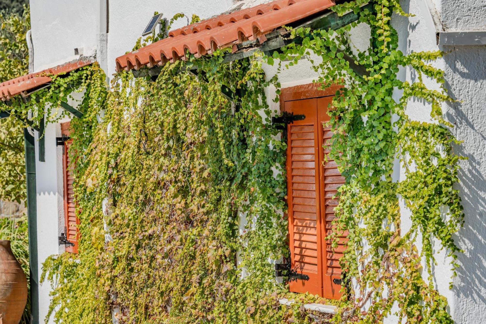 Athina Villas Istro Exterior photo