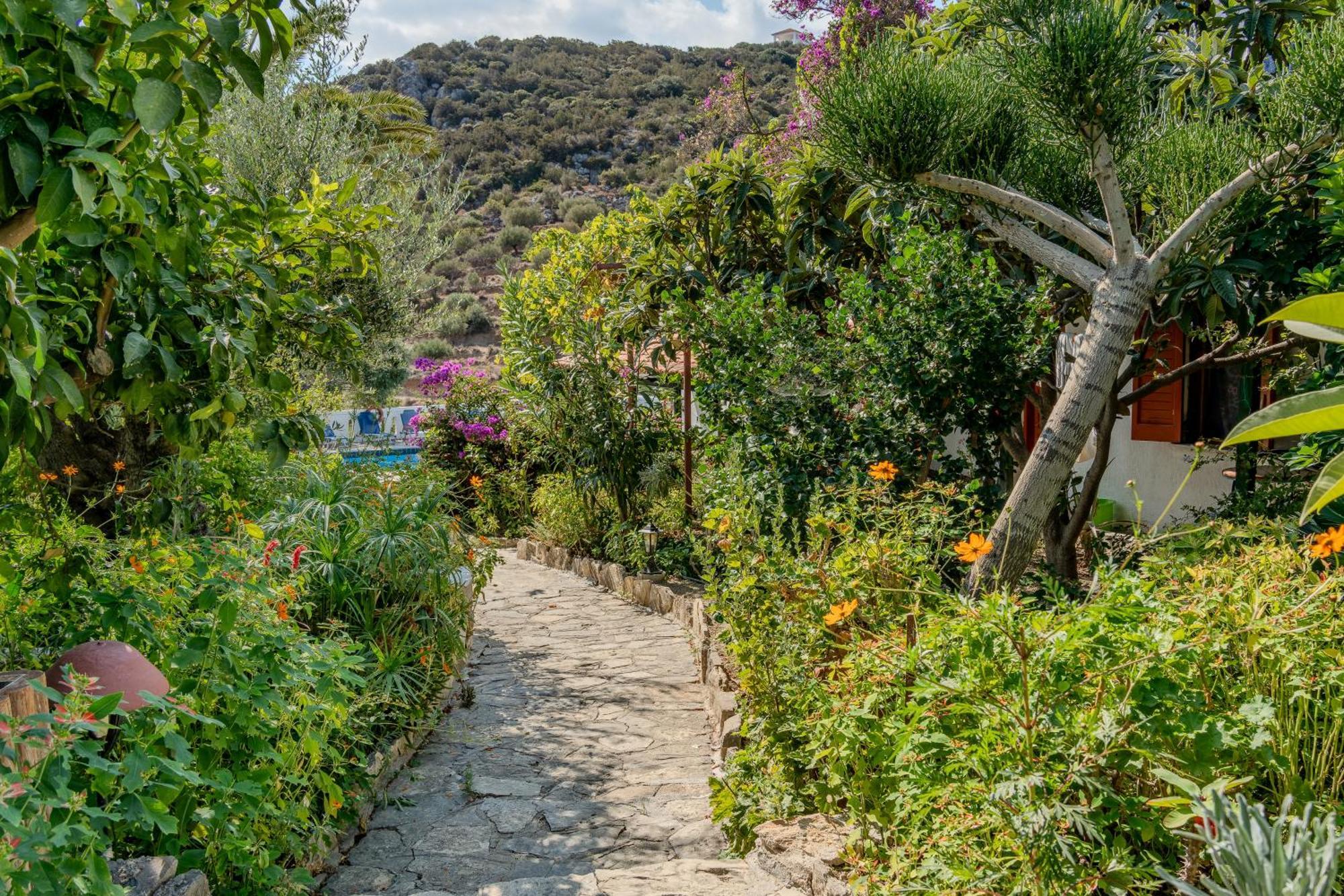 Athina Villas Istro Exterior photo