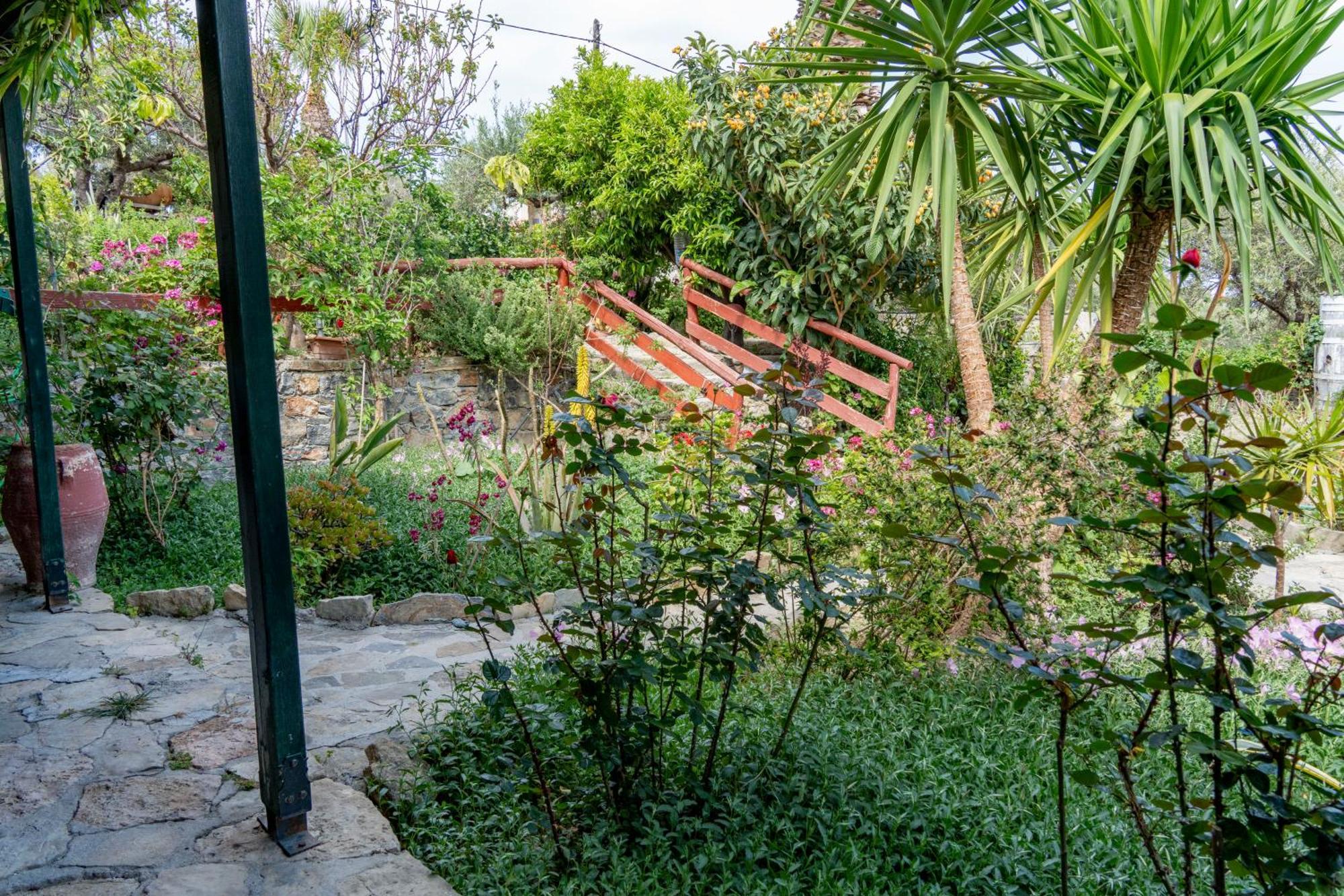 Athina Villas Istro Exterior photo